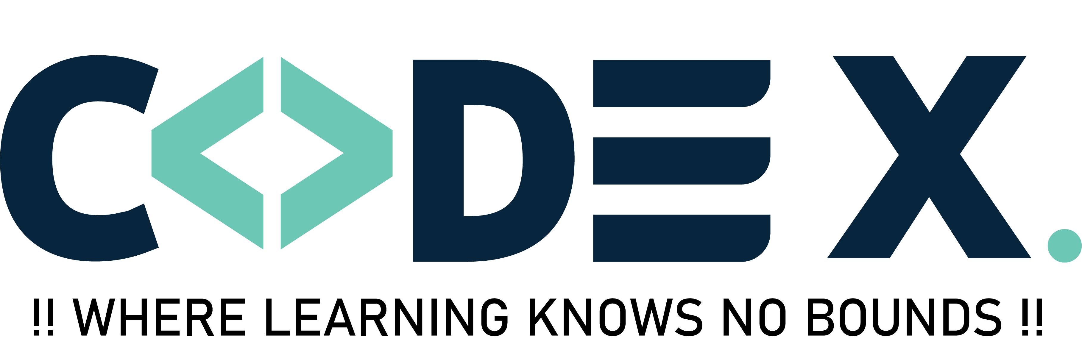 CodeX Official Logo